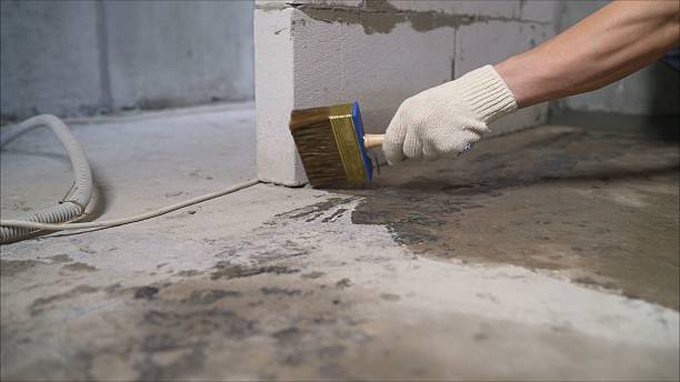 SJ Waterproofing Pros Crawl Space Encapsulation coverage map for Montrose, MI and surrounding area